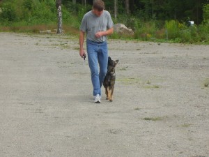 Bita och husse Rqlf tränar gå fint