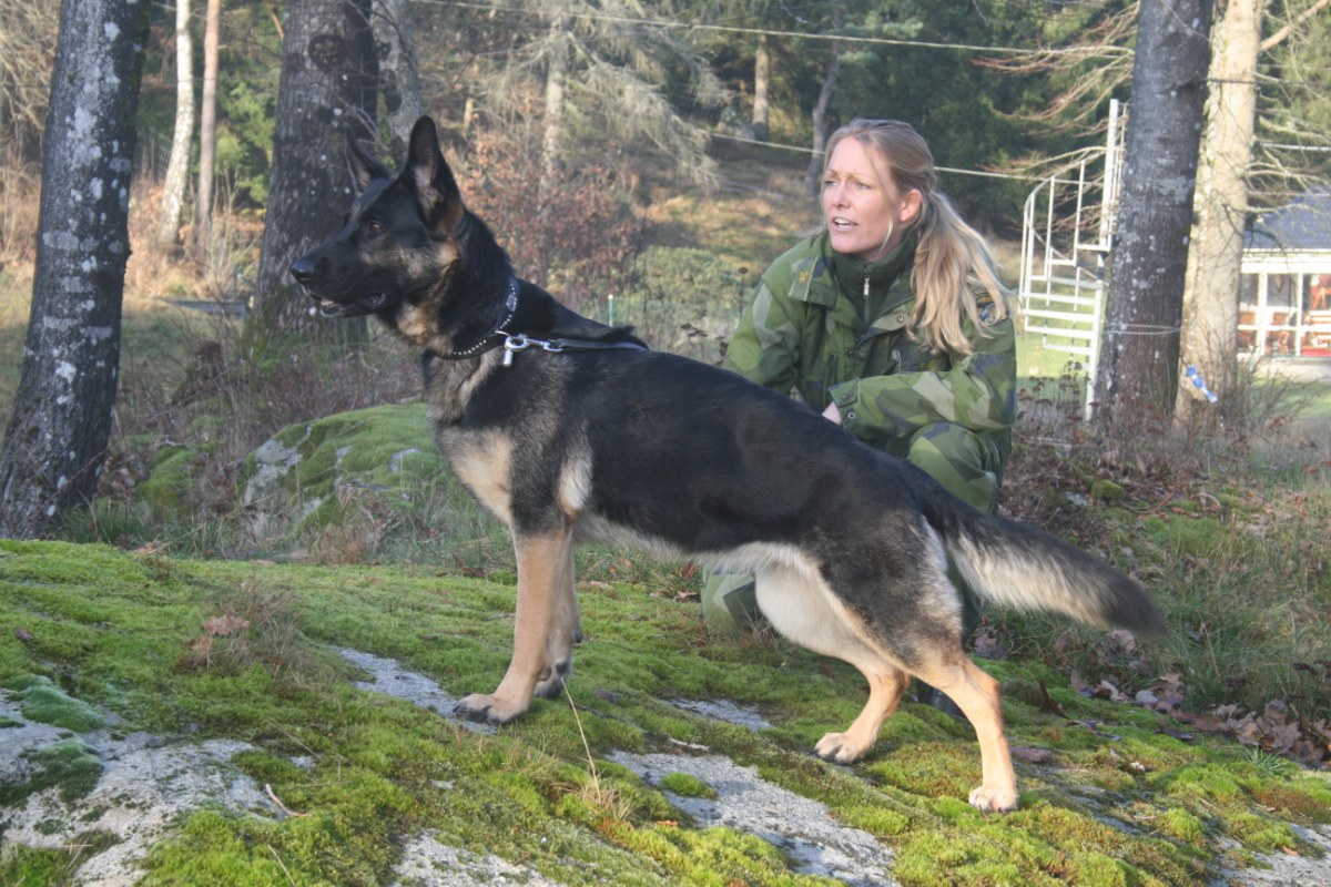 Hedeforsens Åxanna med sin förare Matilda Thonander