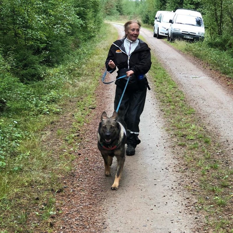 Hedeforsens Fight och Daisy Persson